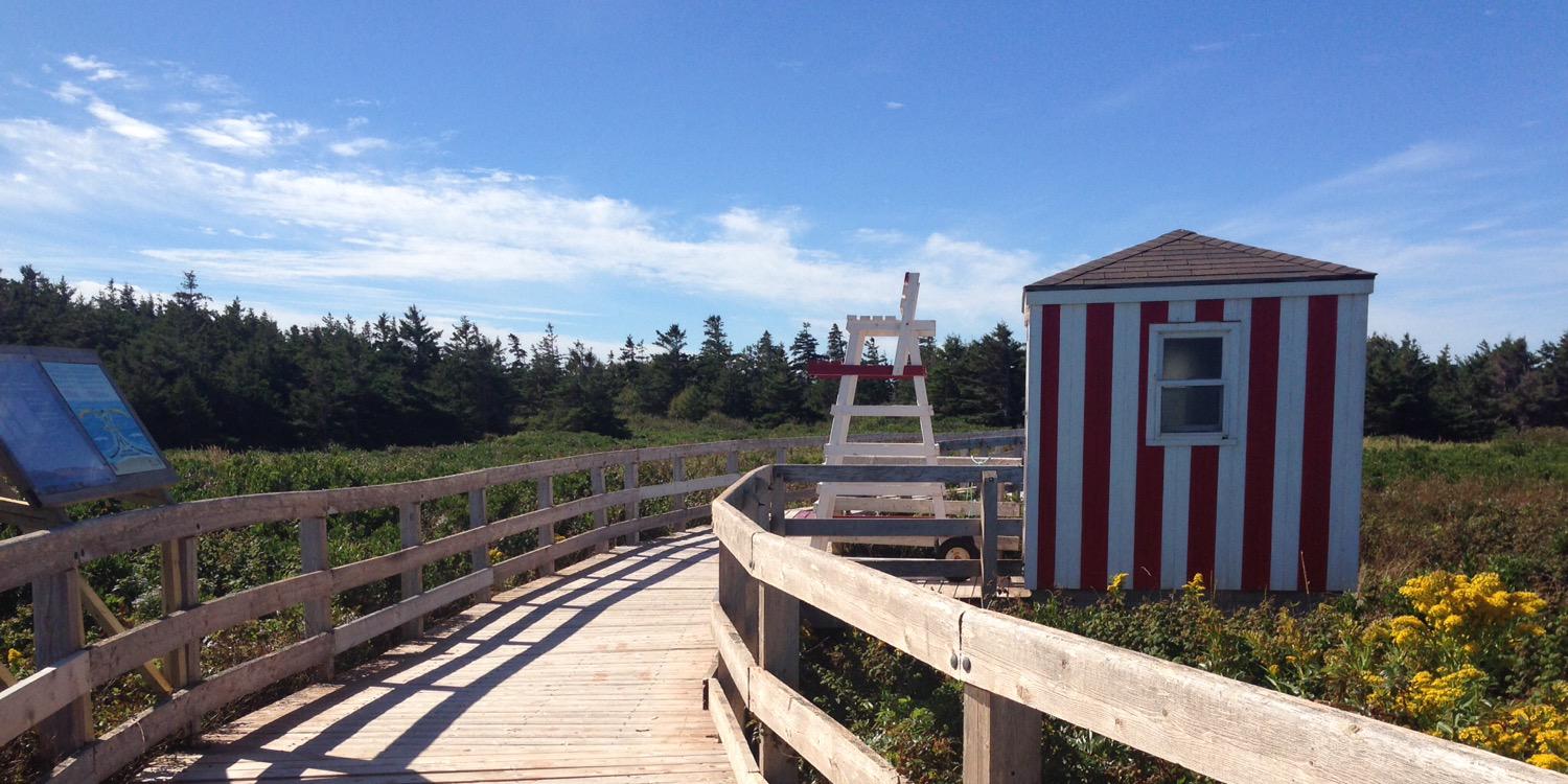 robynposner's profile banner image