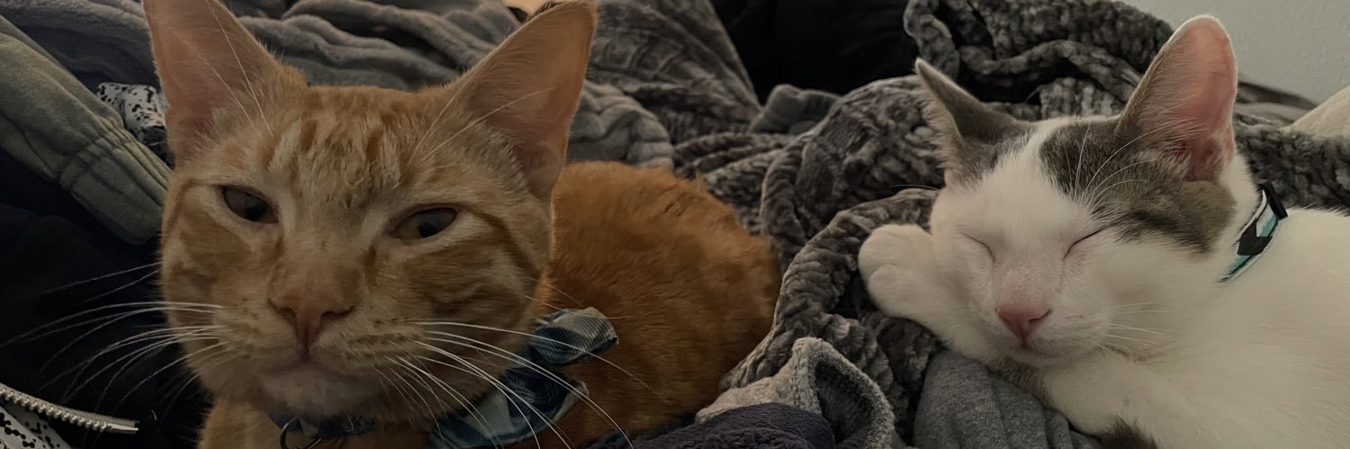 merandaa22's profile banner image