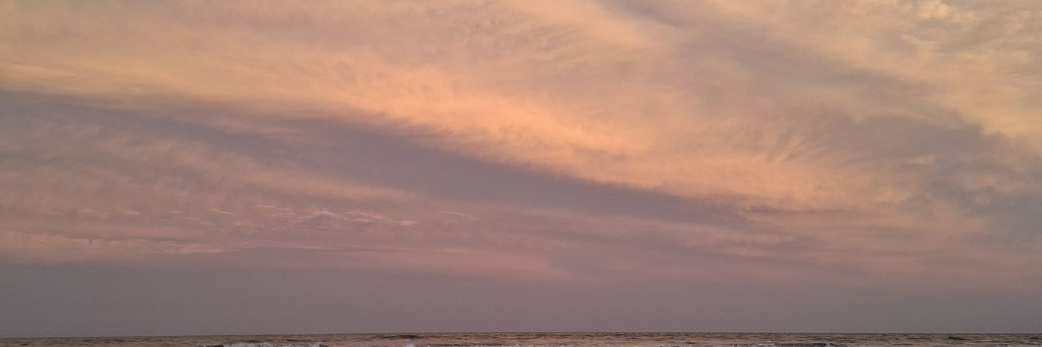 androyeda's profile banner image
