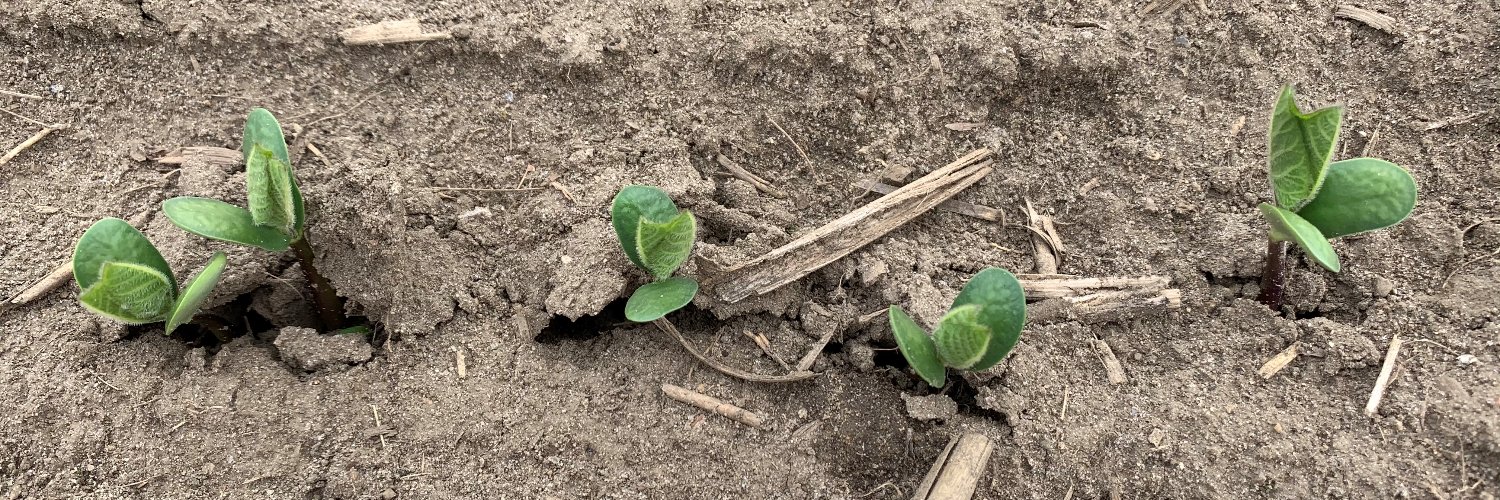 Willie Vanderpol banner