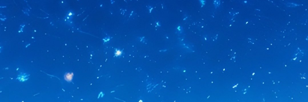 Mɾ. Pαιɳ banner