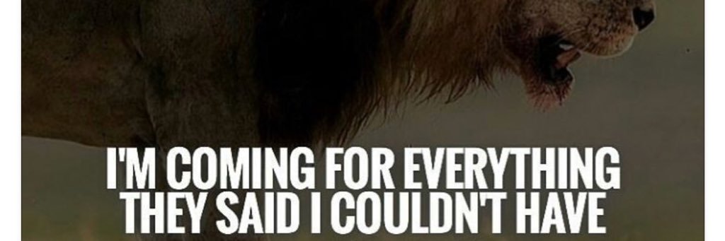 TheDavidFrankle's profile banner image