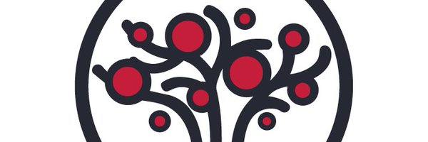 SteadyTrader Profile Banner