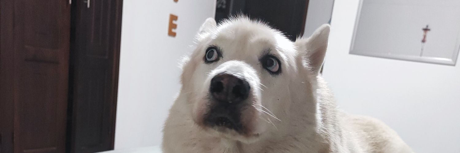 lukaslc7's profile banner image