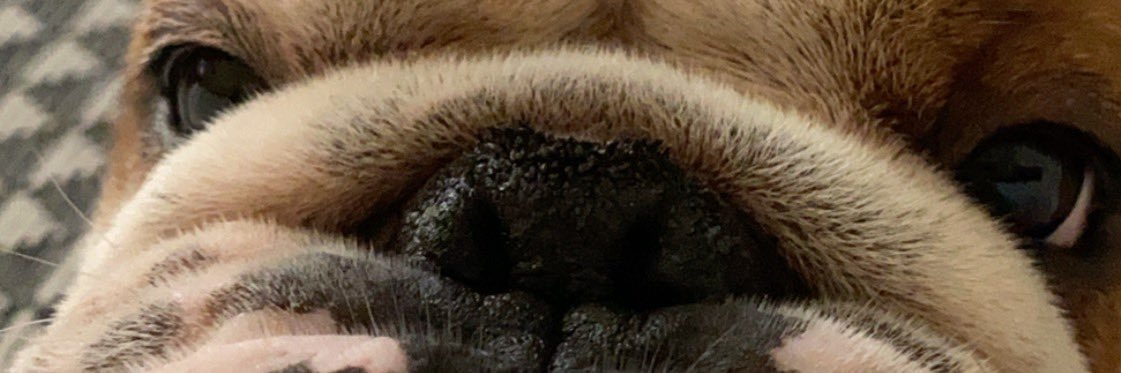 juliaaaan_m's profile banner image