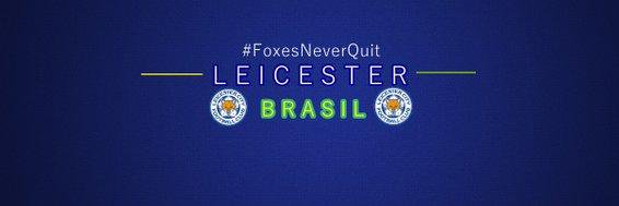 TheFoxes_BRA's profile banner image