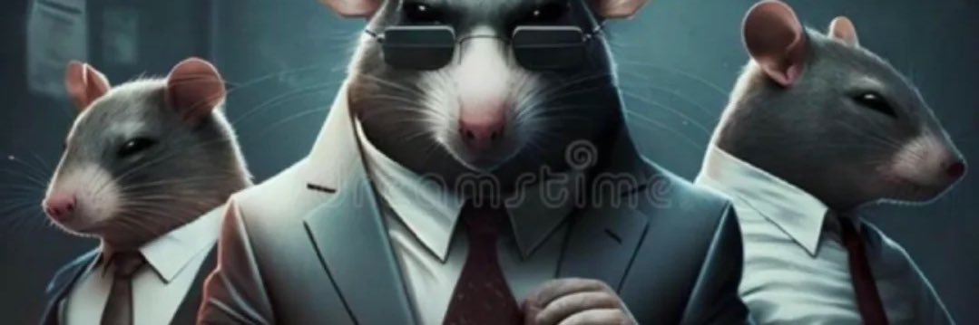 cabrokn's profile banner image