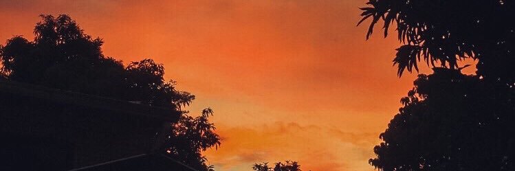__noemic's profile banner image