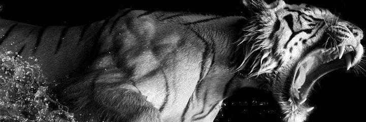 JerichoX86's profile banner image