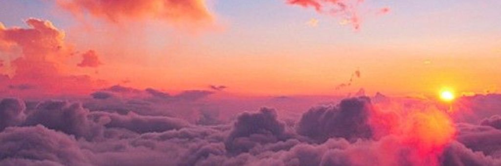 steffyb_7's profile banner image