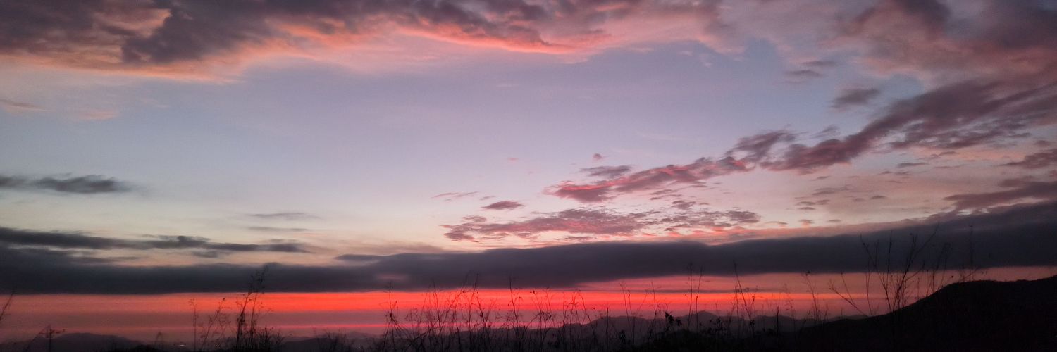 Daniel Gustavo banner