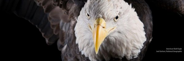 northanger Profile Banner