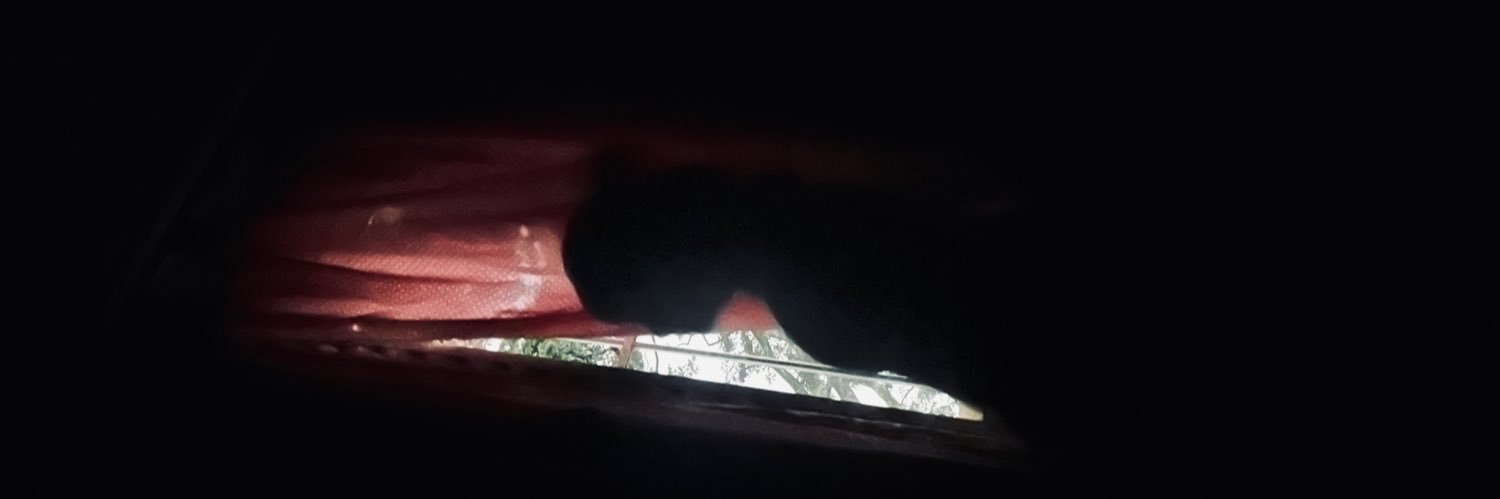 duarda 🇮🇹 banner