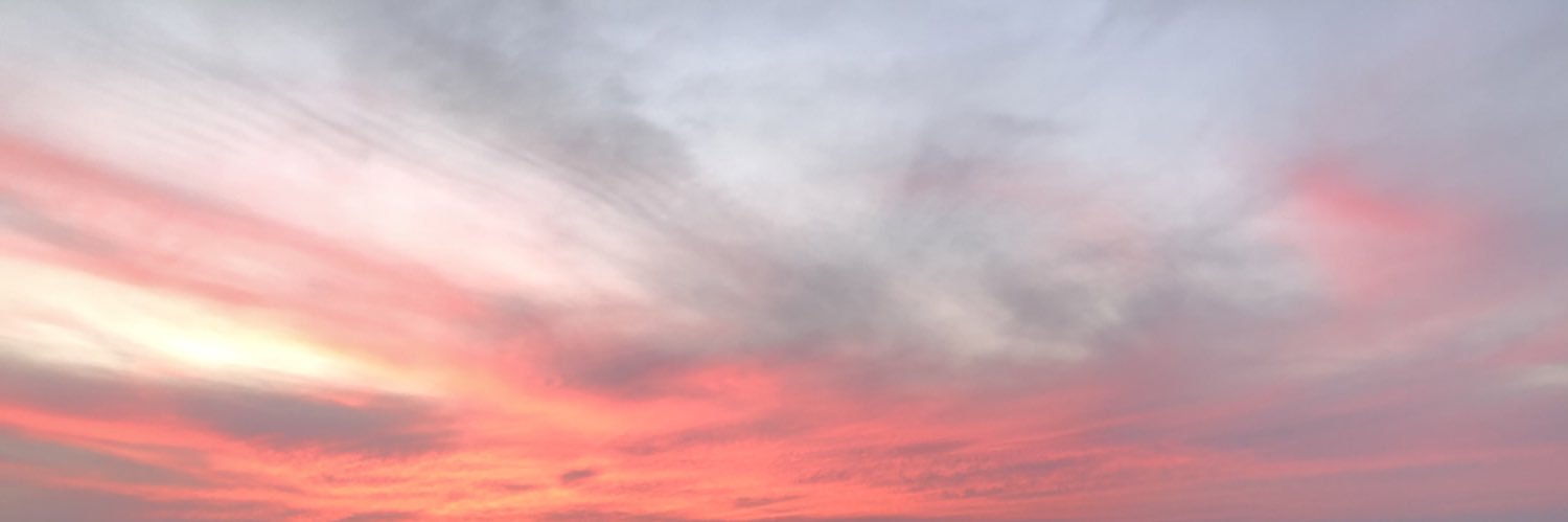 MagaliOlide's profile banner image