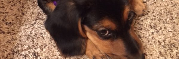 Miller_Corbin26's profile banner image