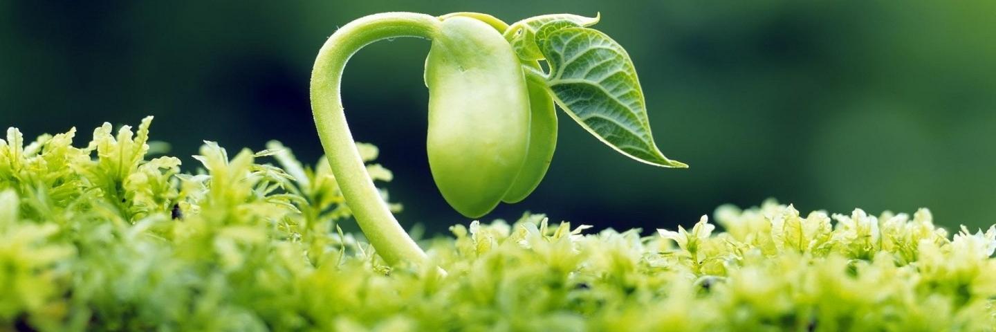 ecocambio's profile banner image