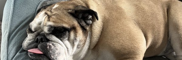 jaxonwattss Profile Banner