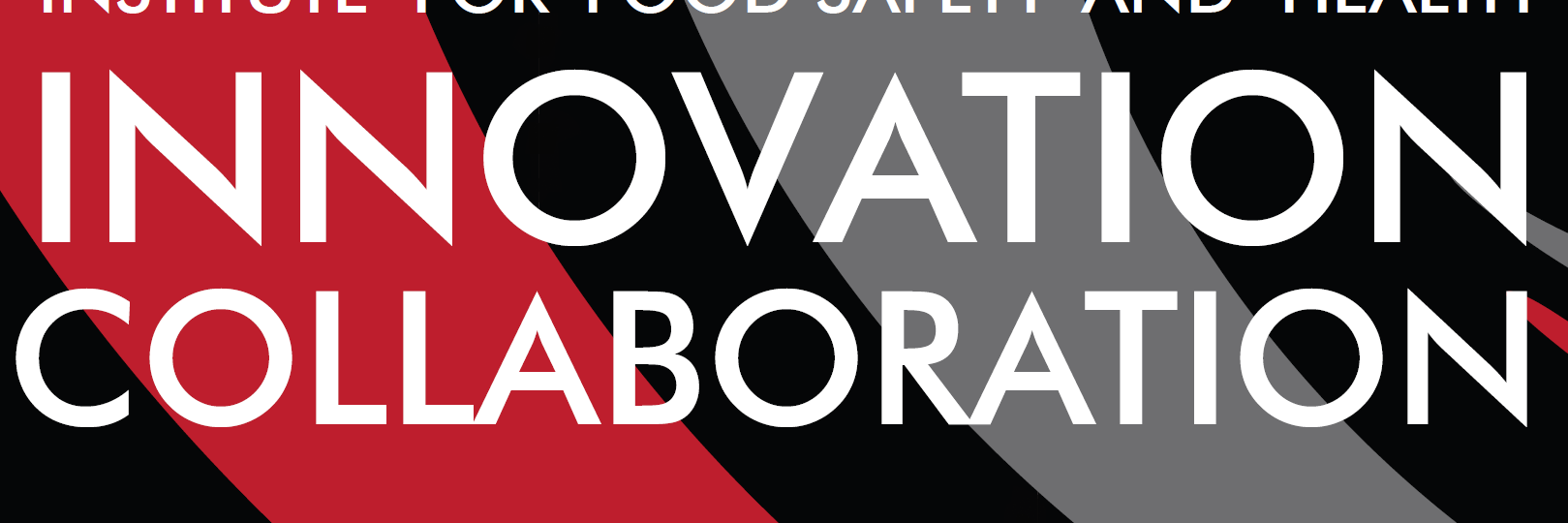 IIT IFSH banner