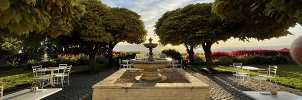 hedgeswine Profile Banner