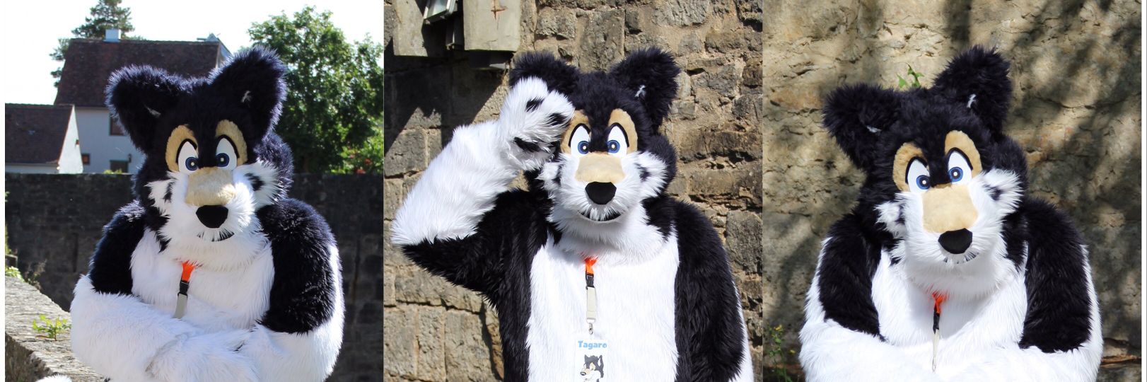 ✨ @tagaro.bsky.social ✨ banner