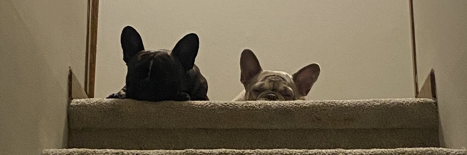 TinyJessica's profile banner image