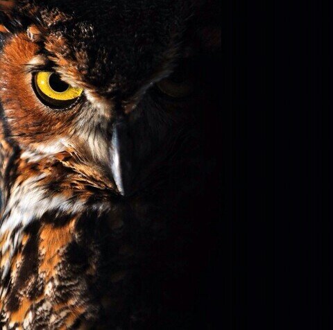 lauromaz's profile banner image