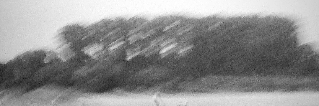 UPaleolithic's profile banner image