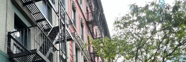 sarahbatchu Profile Banner