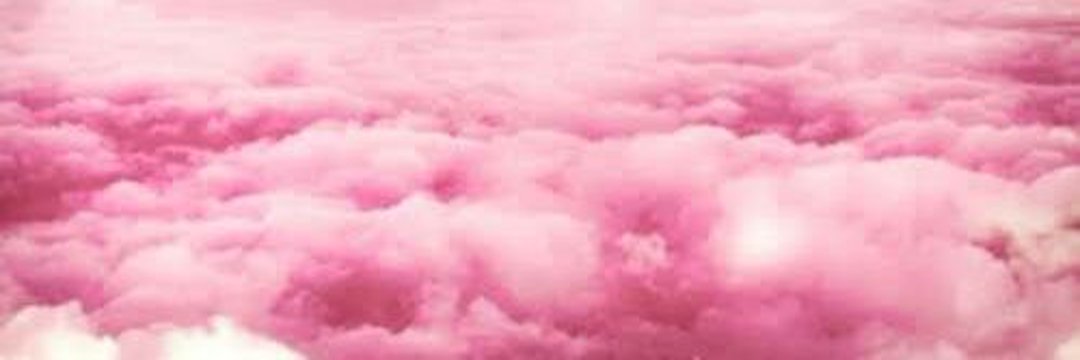 Fany banner