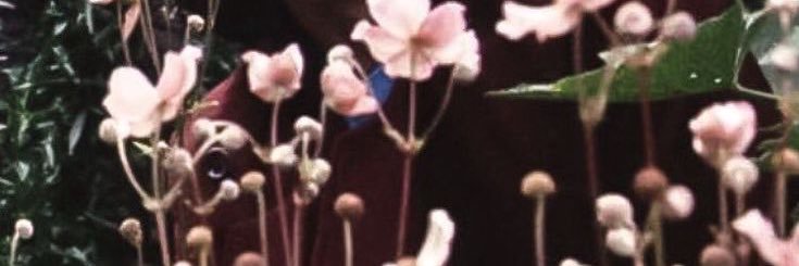 colesupple's profile banner image