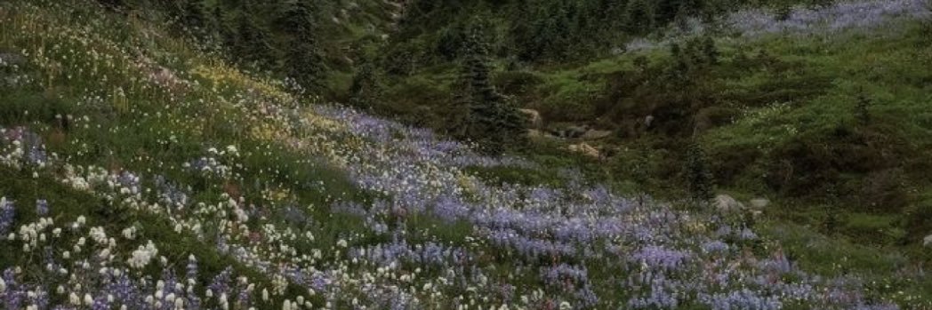 thawayshefeels's profile banner image