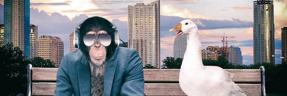 monkeygoosemag's profile banner image