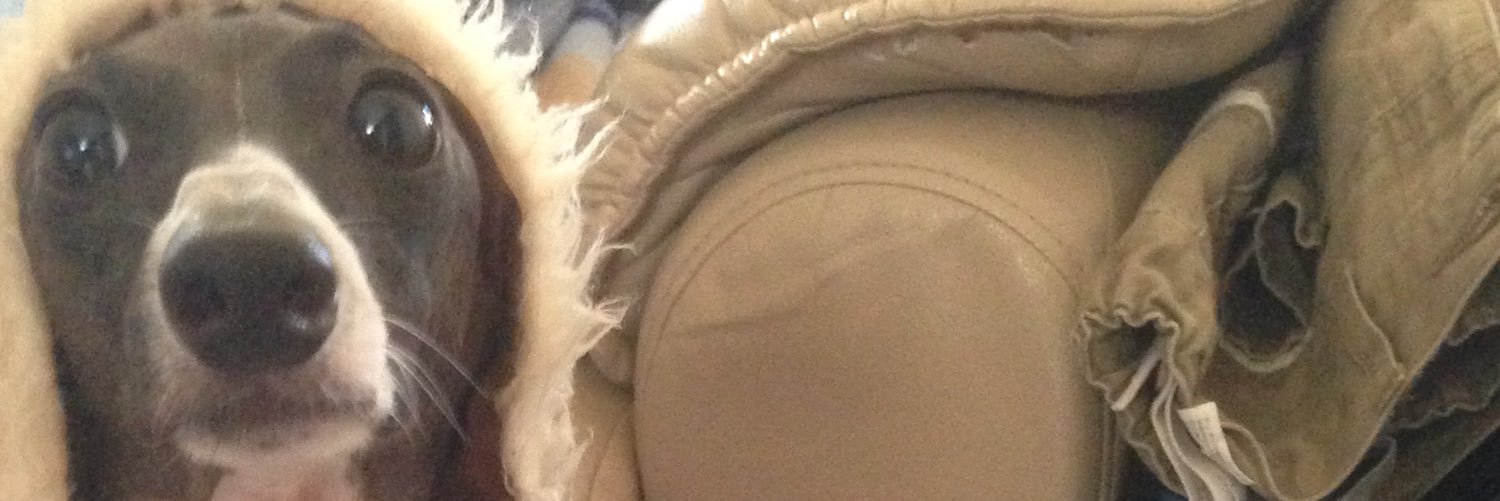 yik_s7's profile banner image