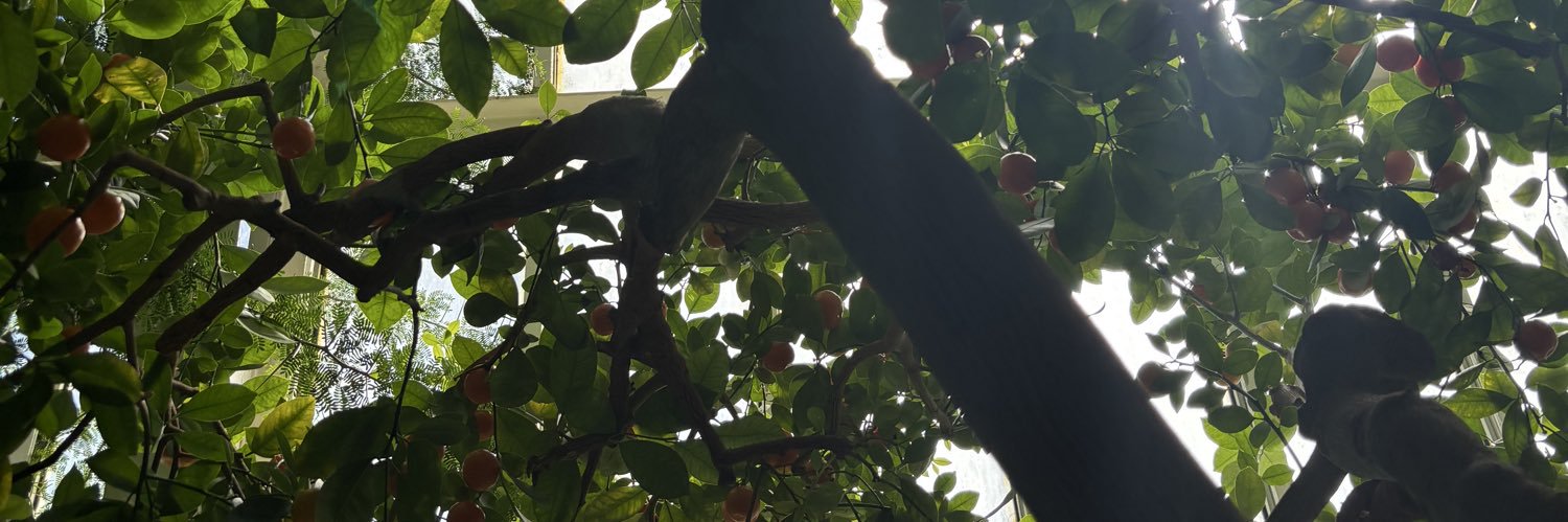 milkyedward's profile banner image