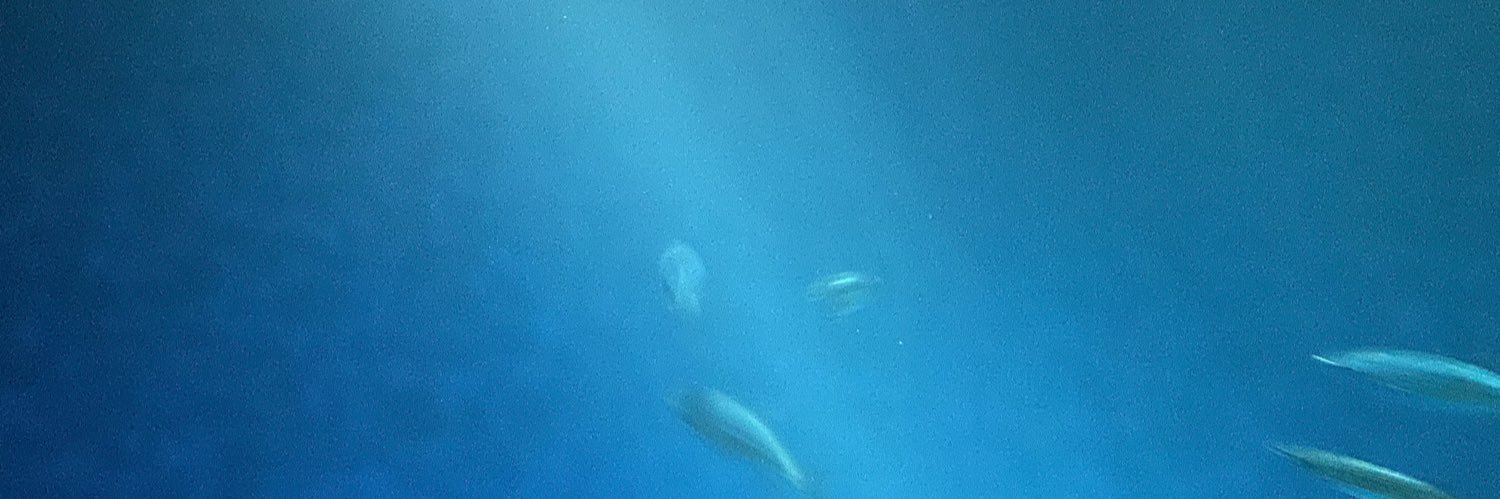 yourLBagent's profile banner image