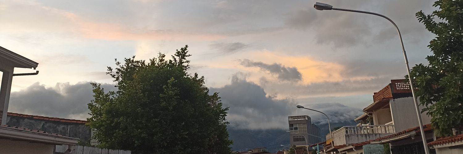 ricardosalas201's profile banner image