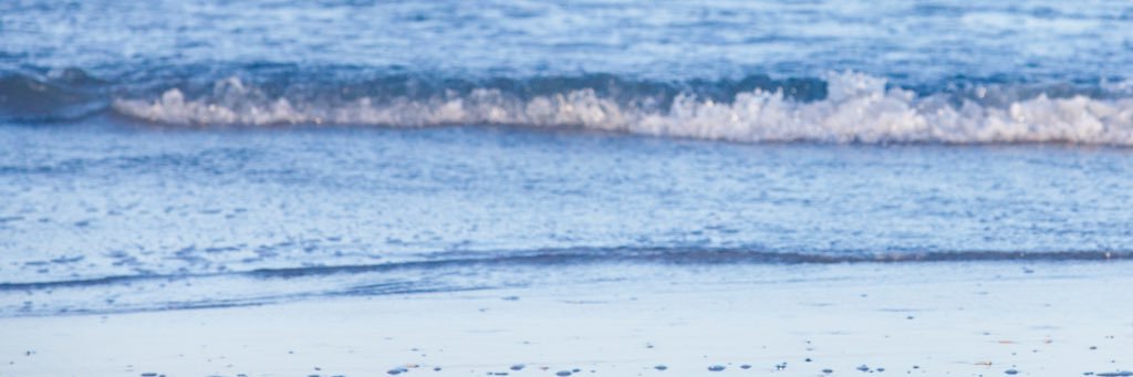 dhrosenbaum's profile banner image