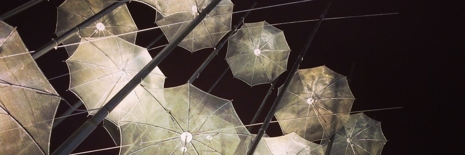 francesco tapinassi banner