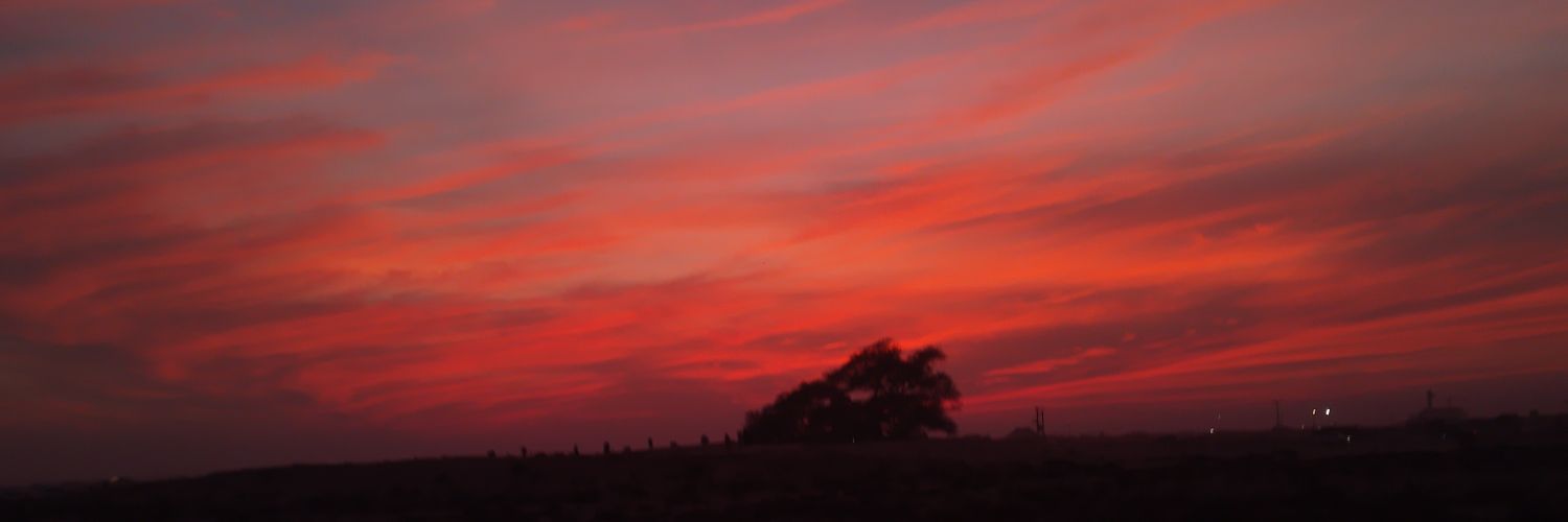 lofsss's profile banner image