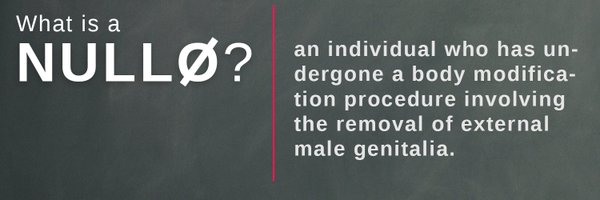 Layli_Nullo Profile Banner