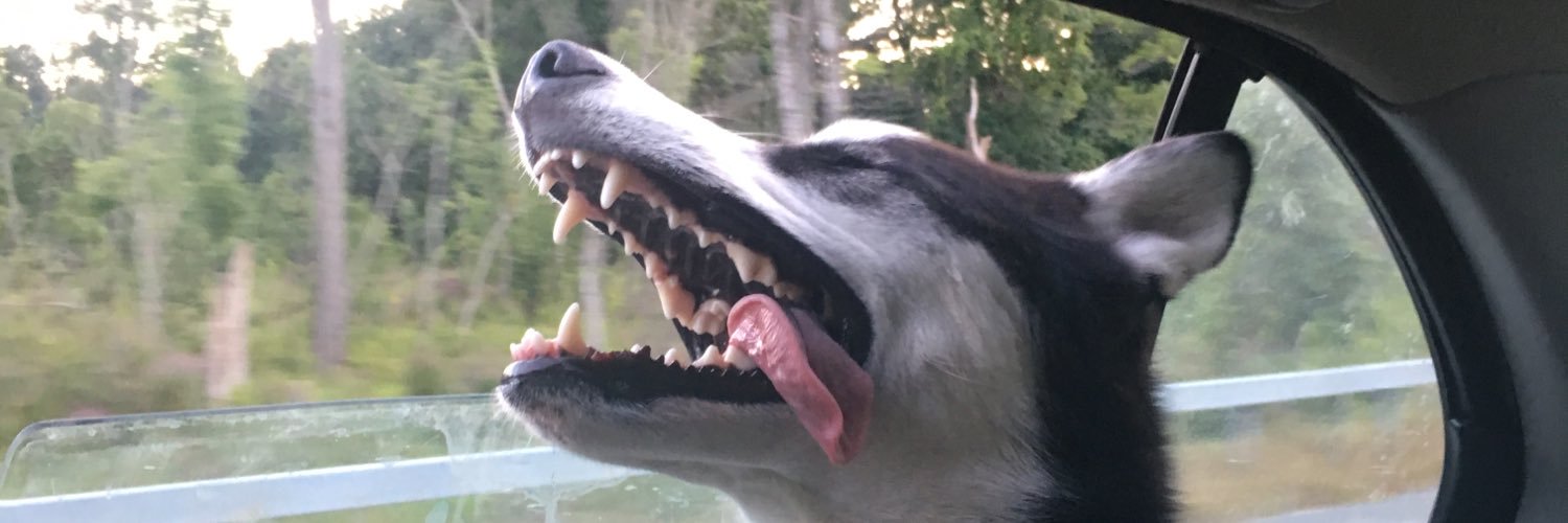 DavetheBUS3's profile banner image
