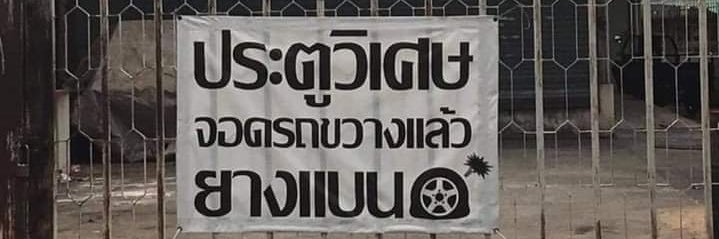林杨 banner
