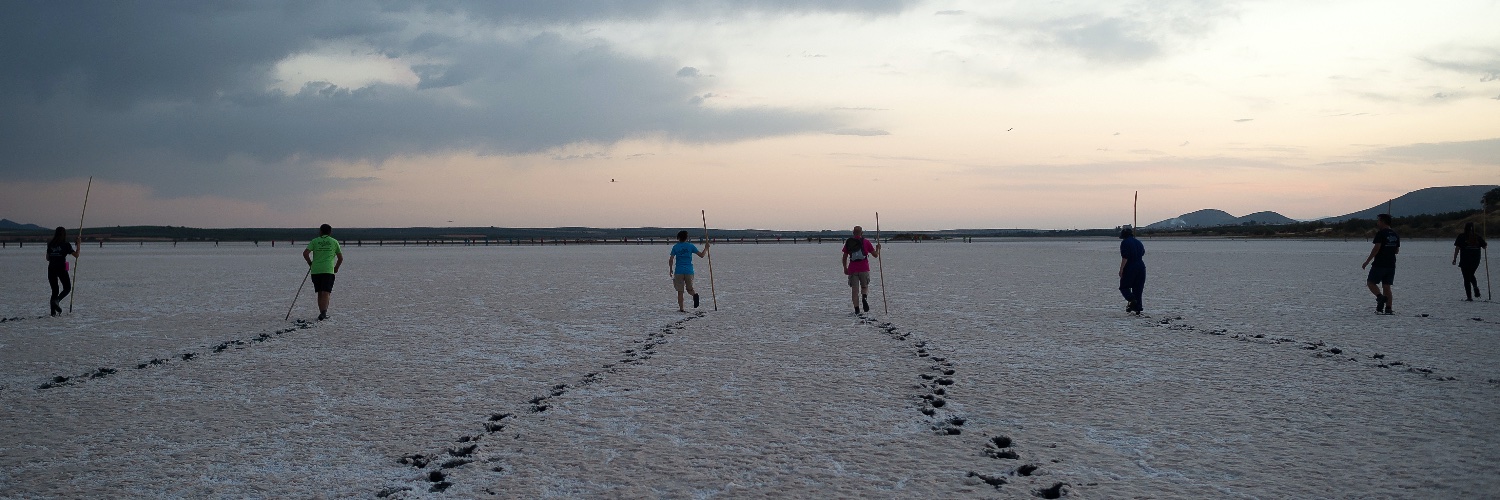 Jesús Mérida 📸 banner