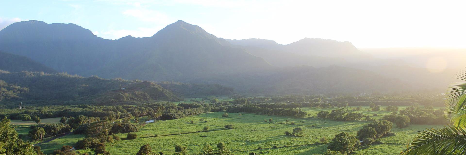 Documentary Drive banner