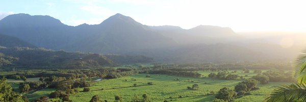 DOCUDrive Profile Banner