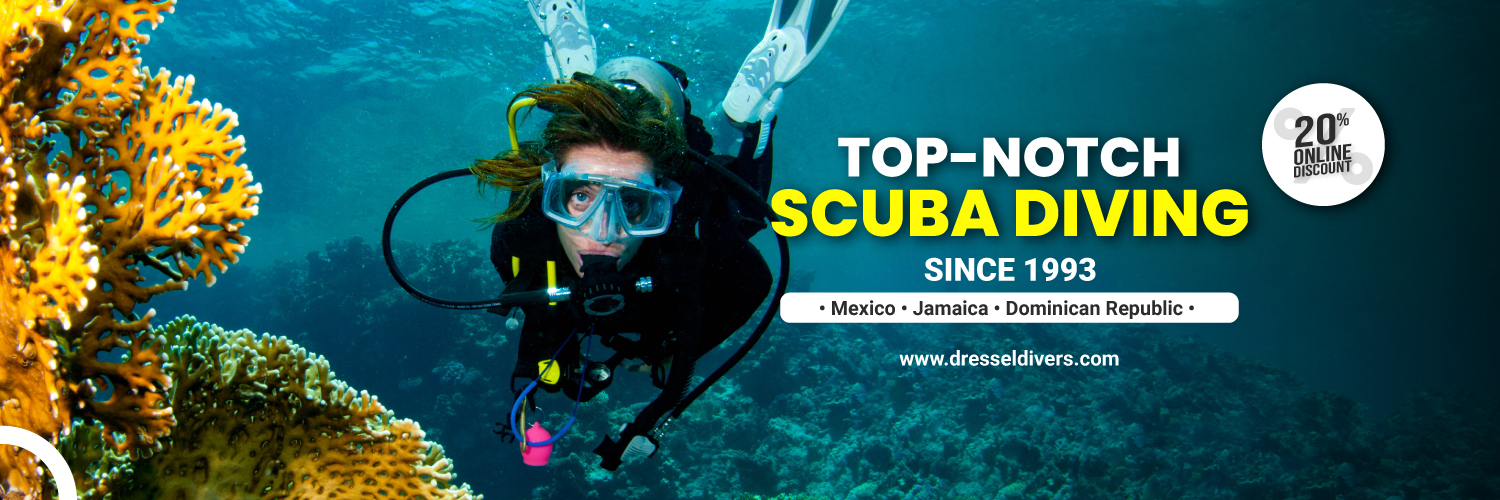 DRESSELDIVERS banner