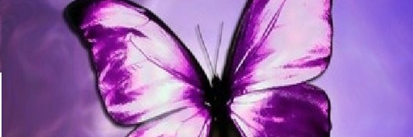 Dianem1981 Profile Banner