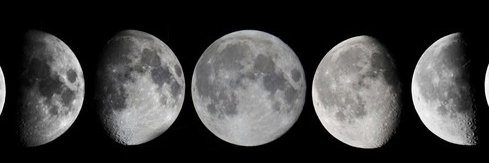 luz_buzzetta's profile banner image