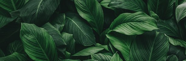 carloss_rom's profile banner image