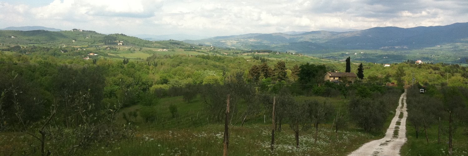 Stauffette's profile banner image